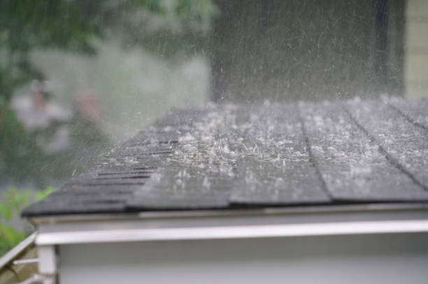 Best Rubber Roofing (EPDM, TPO)  in Temple City, CA